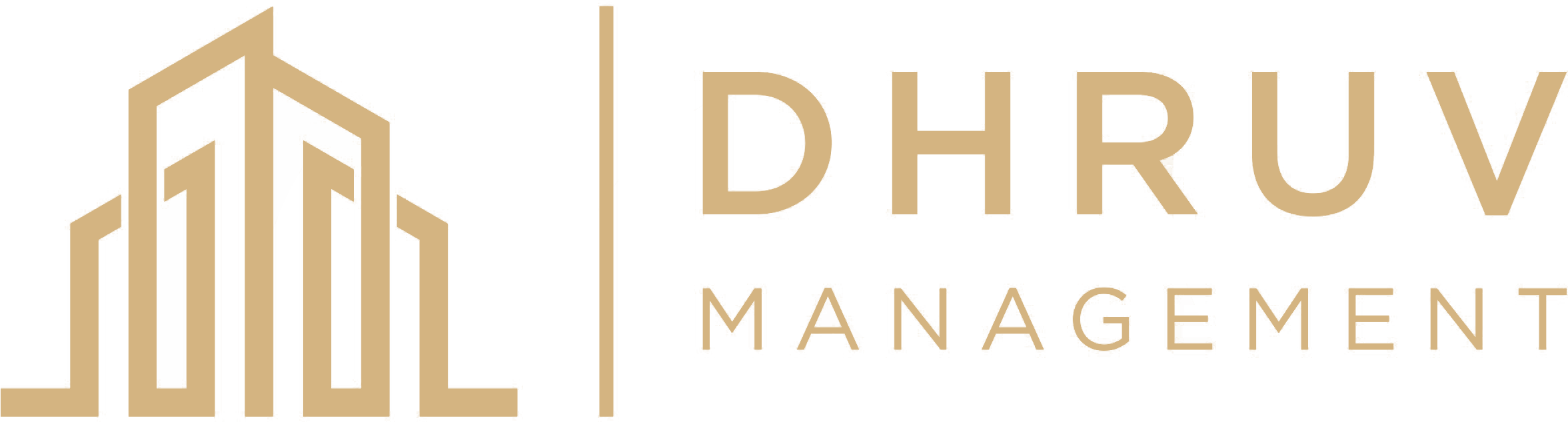 Dhruv management